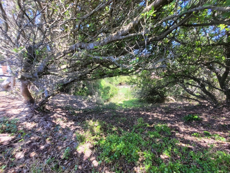 0 Bedroom Property for Sale in Paradise Beach Eastern Cape